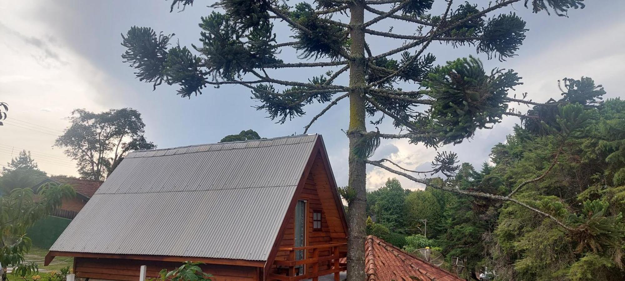 Chale Com Hidromassagem Da Vick Hotel Campos do Jordao Luaran gambar
